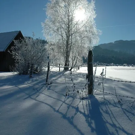 Gasthof Hirschenwirt 3*