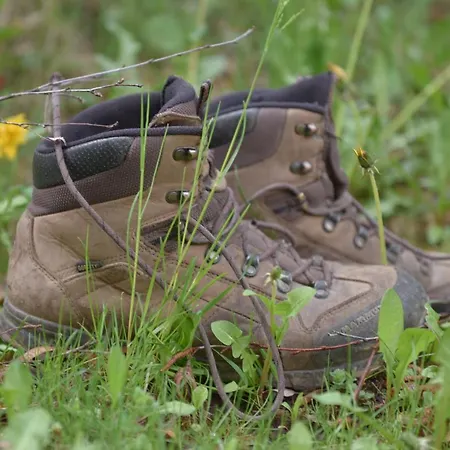 イン Hirschenwirt 3*