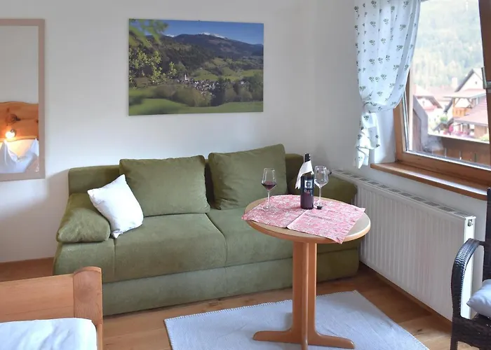 黑尔斯陈威尔特旅馆 宾馆 Schöder