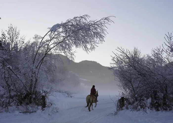 宾馆 黑尔斯陈威尔特旅馆 3*