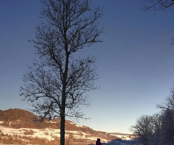 宾馆 黑尔斯陈威尔特旅馆 Schöder