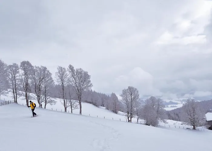 黑尔斯陈威尔特旅馆 宾馆 3*