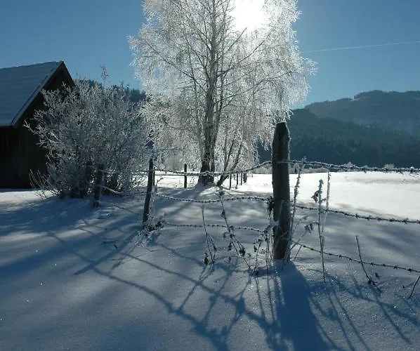 宾馆 黑尔斯陈威尔特旅馆 3*