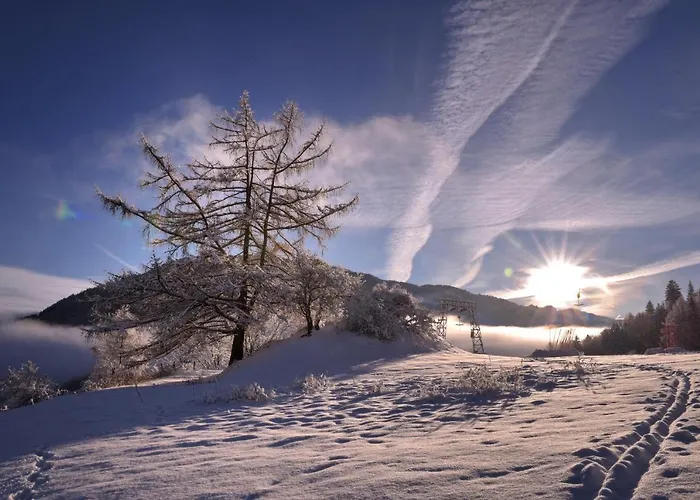 宾馆 黑尔斯陈威尔特旅馆