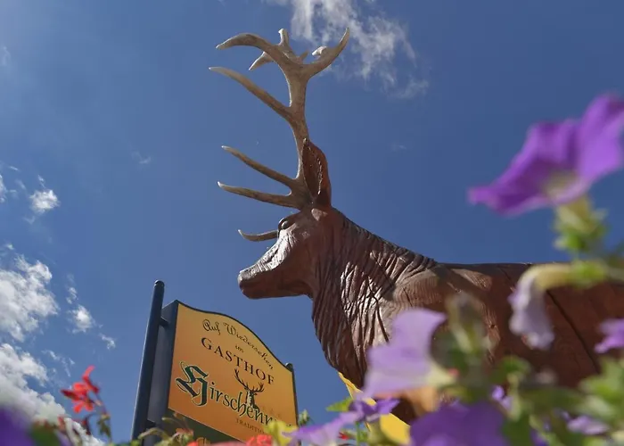 黑尔斯陈威尔特旅馆 宾馆