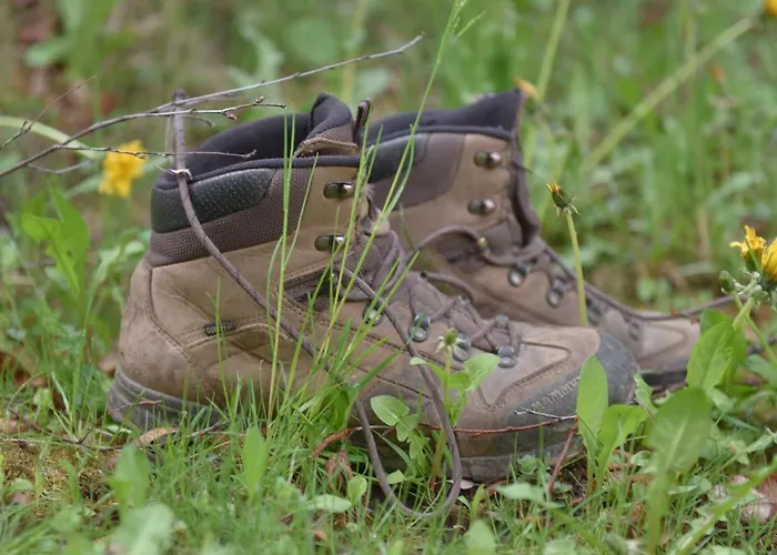 بيت ريفي Hirschenwirt 3*